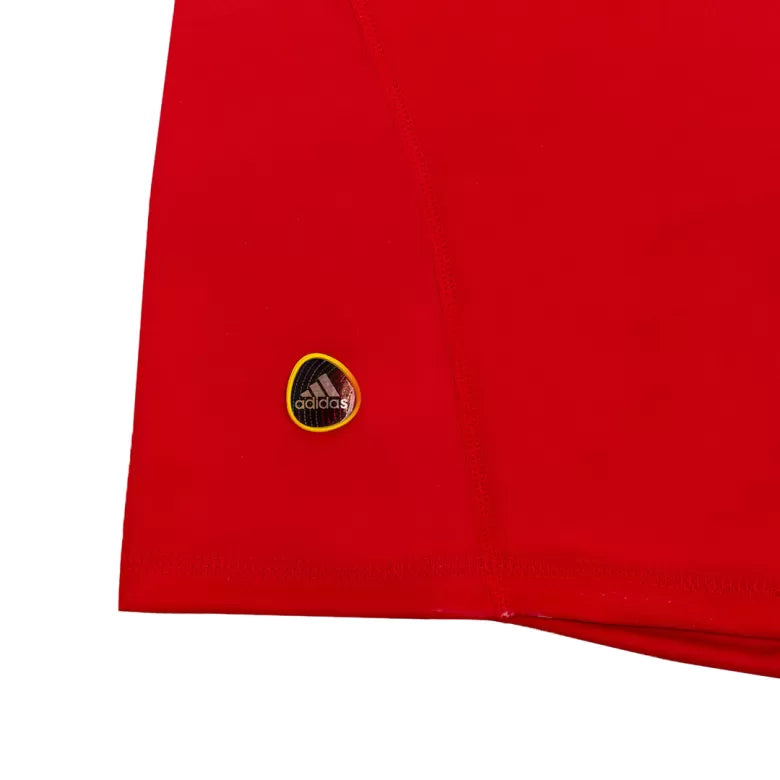 Camisola Espanha 2010 Principal DAVID VILLA #7