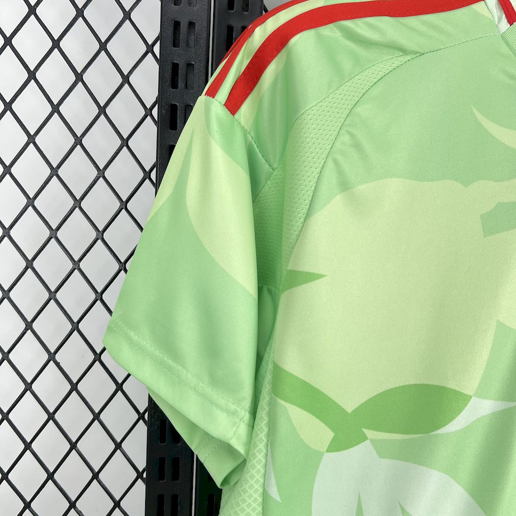 Camisola Italia 2025 Alternativa Verde Versão Adepto