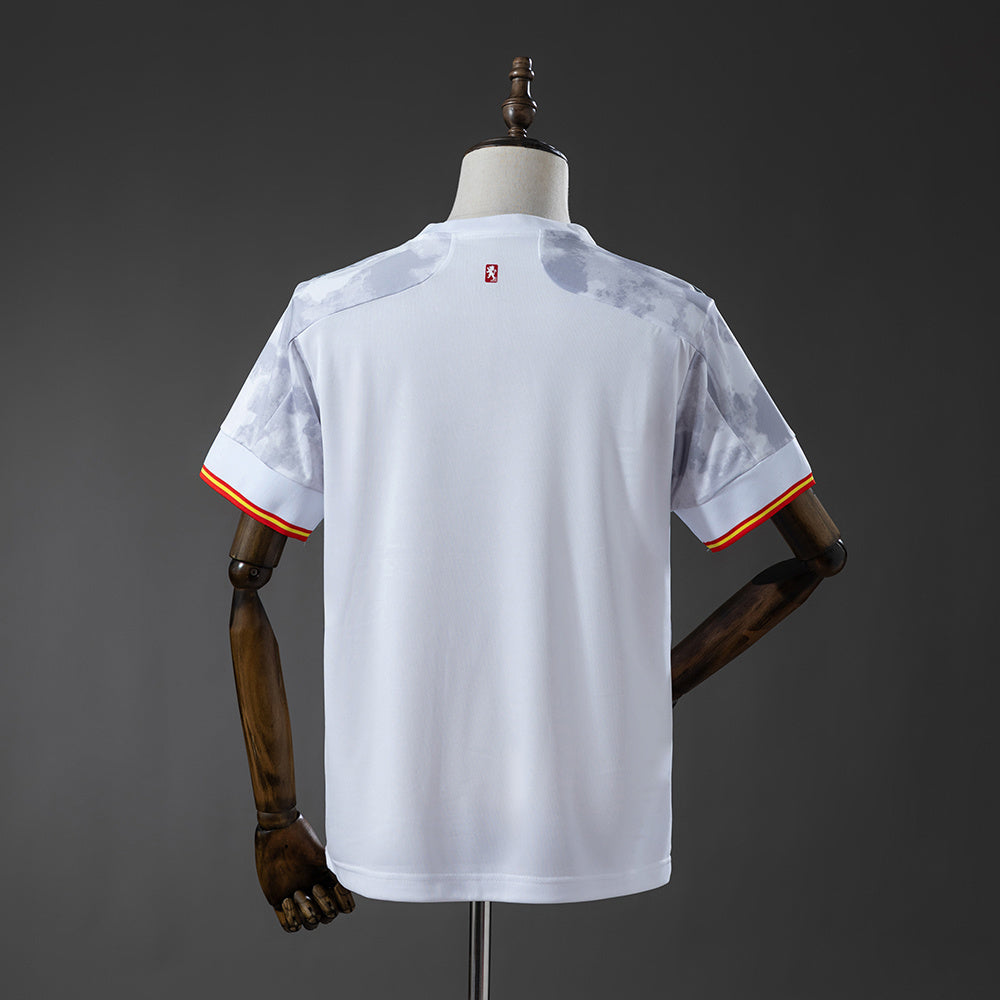 Camisola Espanha 2020 Alternativa