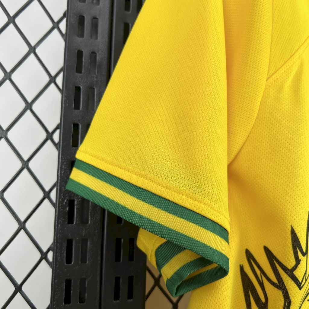 Camisola Brasil 2025 Edição Especial Versão Adepto