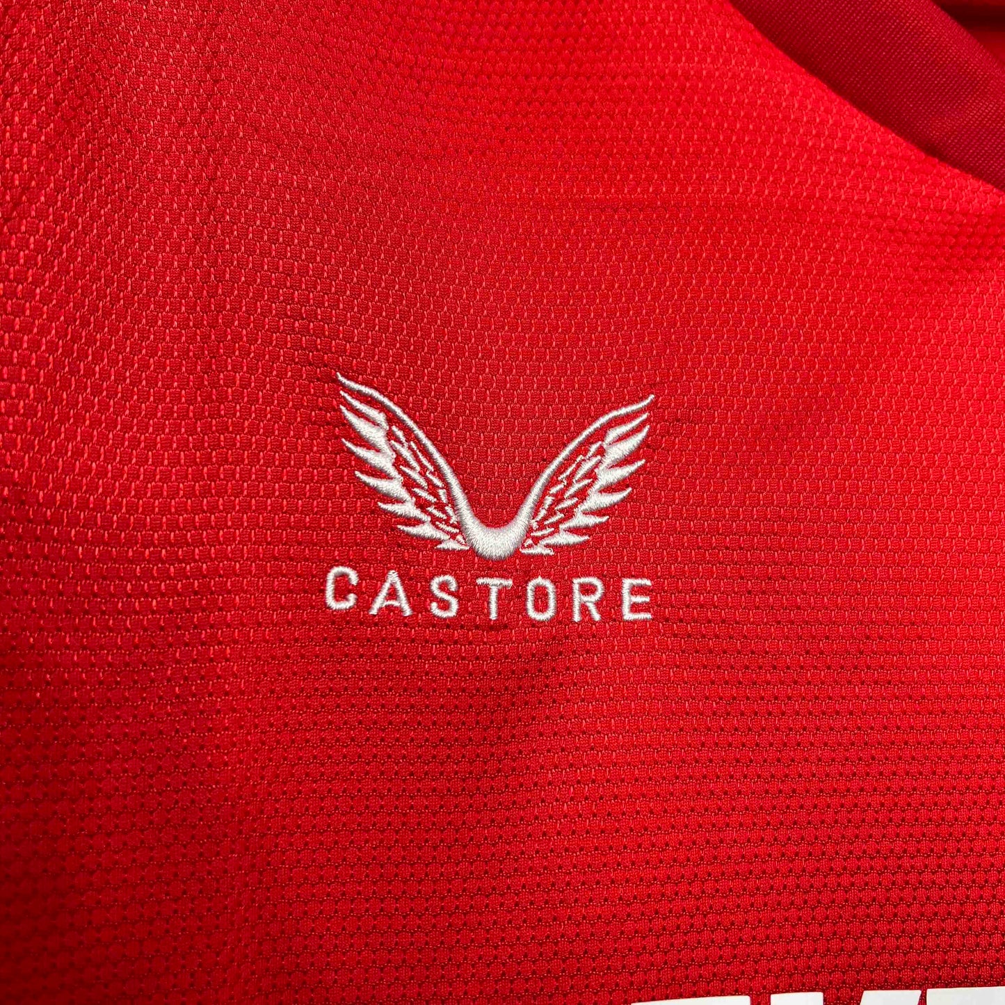 Camisola FC Twente 2024-25 Principal Versão Adepto