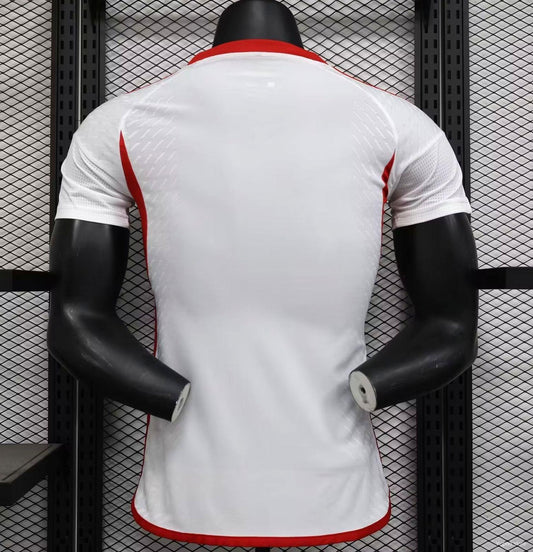 Camisola Emirados Árabes Unidos 2024 Principal Versão Jogador