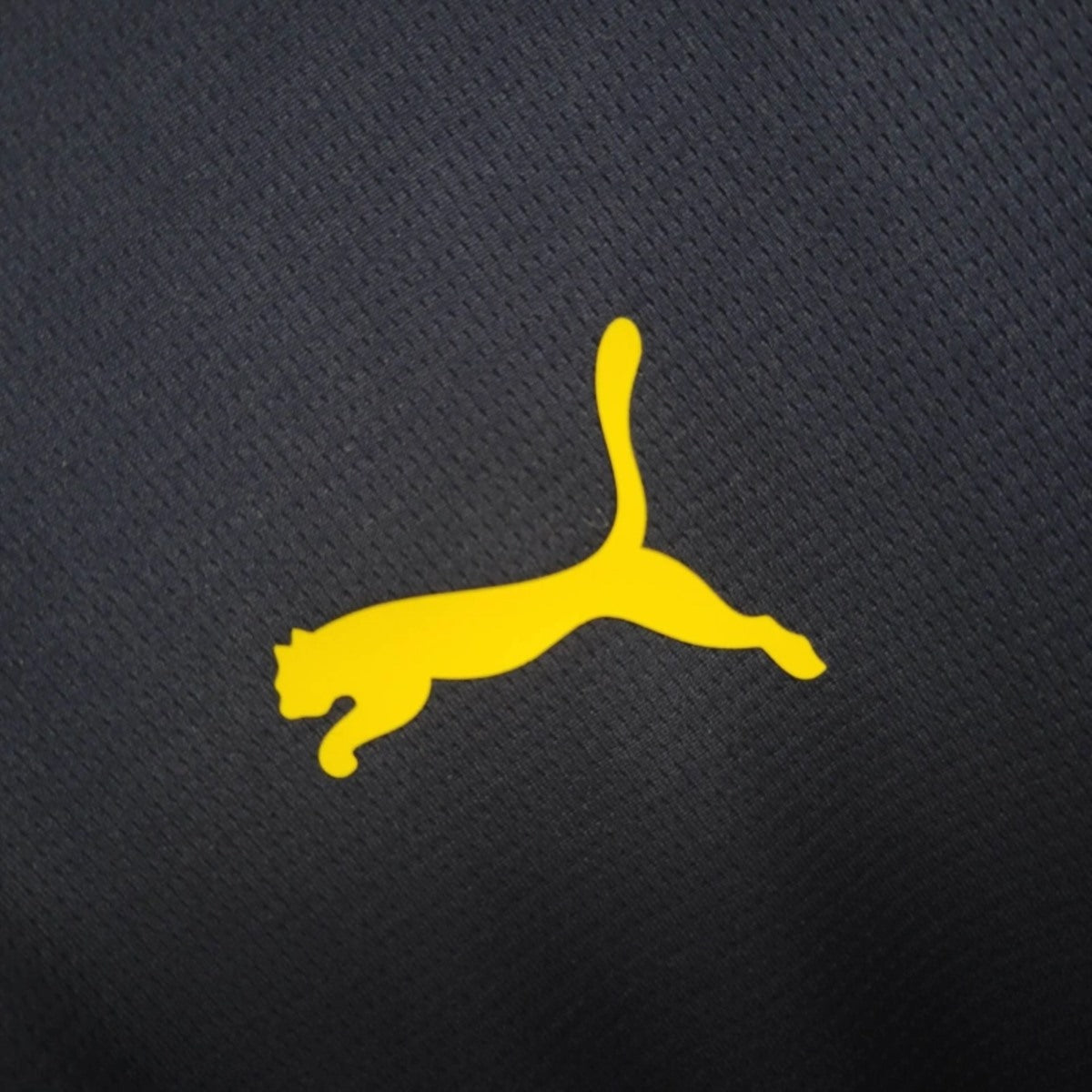 Camisola Portugal 2025 Treino Versão Adepto