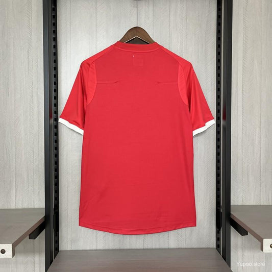 Camisola Inglaterra 2010 Alternativa