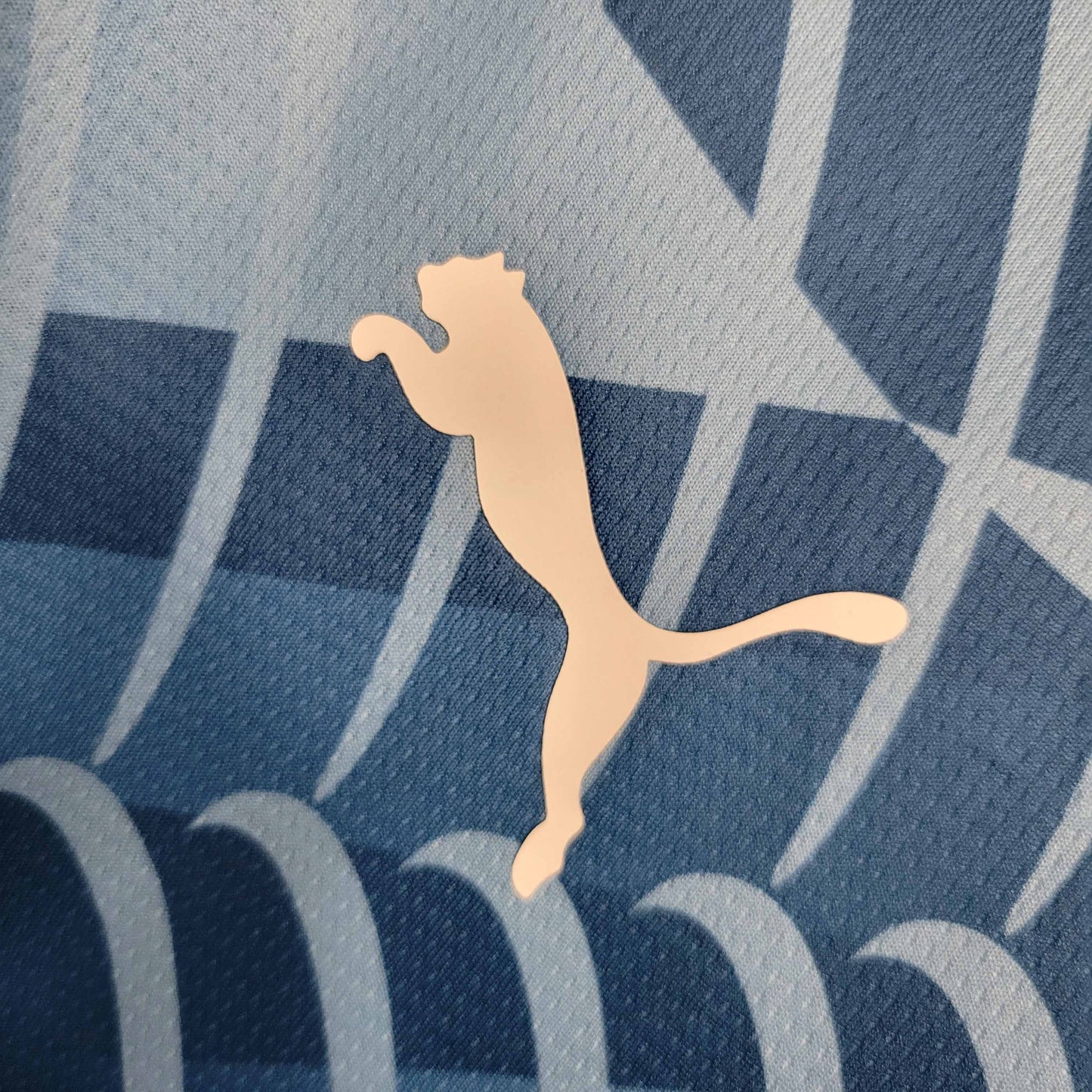 Camisola MCI 2023-24 Treino