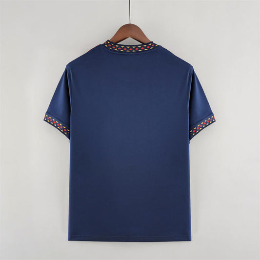 Camisola AFC Ajax 2022-23 Alternativa