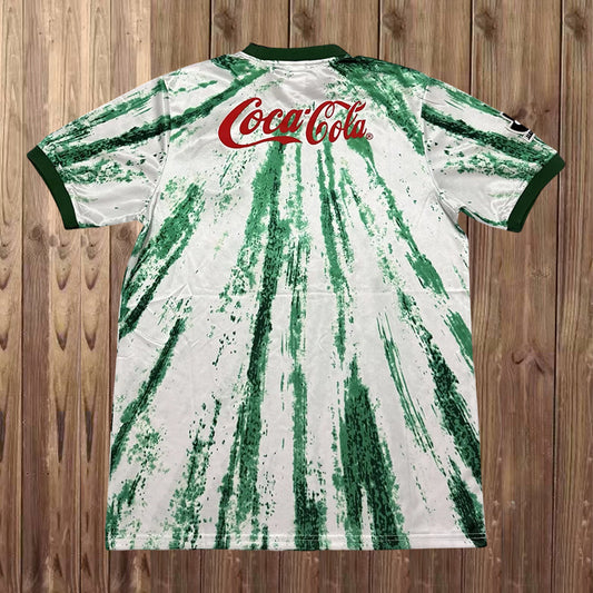 Camisola Tokyo Verdy 1994-95 Alternativa