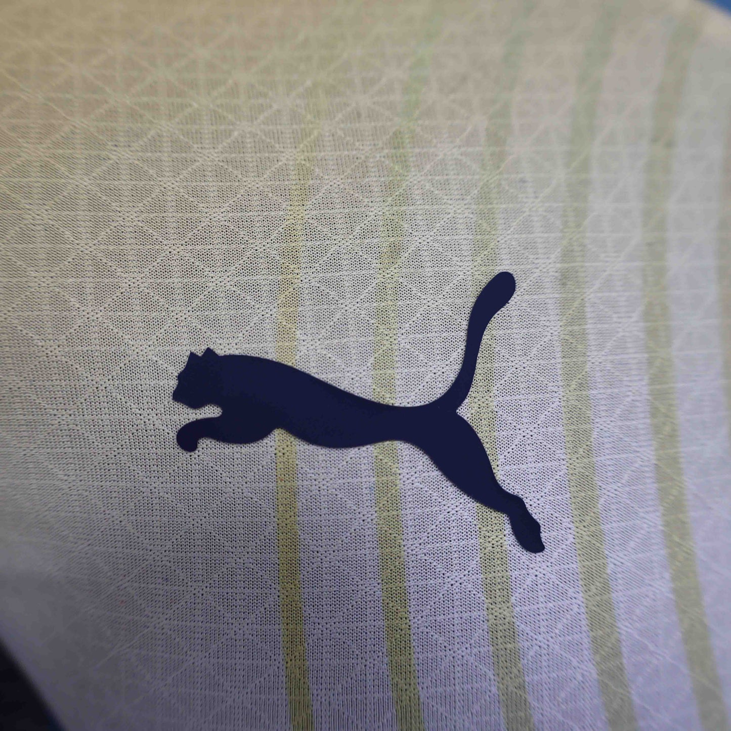 Camisola MCI 2024-25 Alternativa Verde Versão Jogador