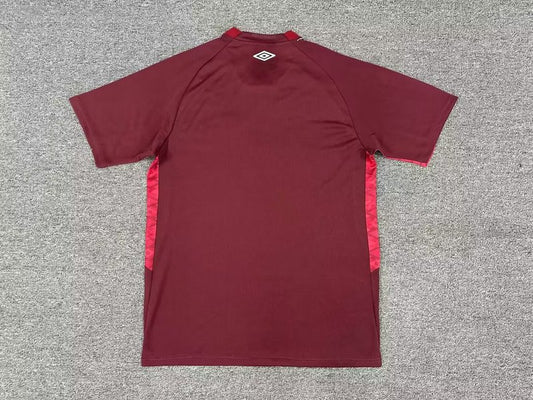 Camisola Lanus 2025-26 Principal Versão Adepto