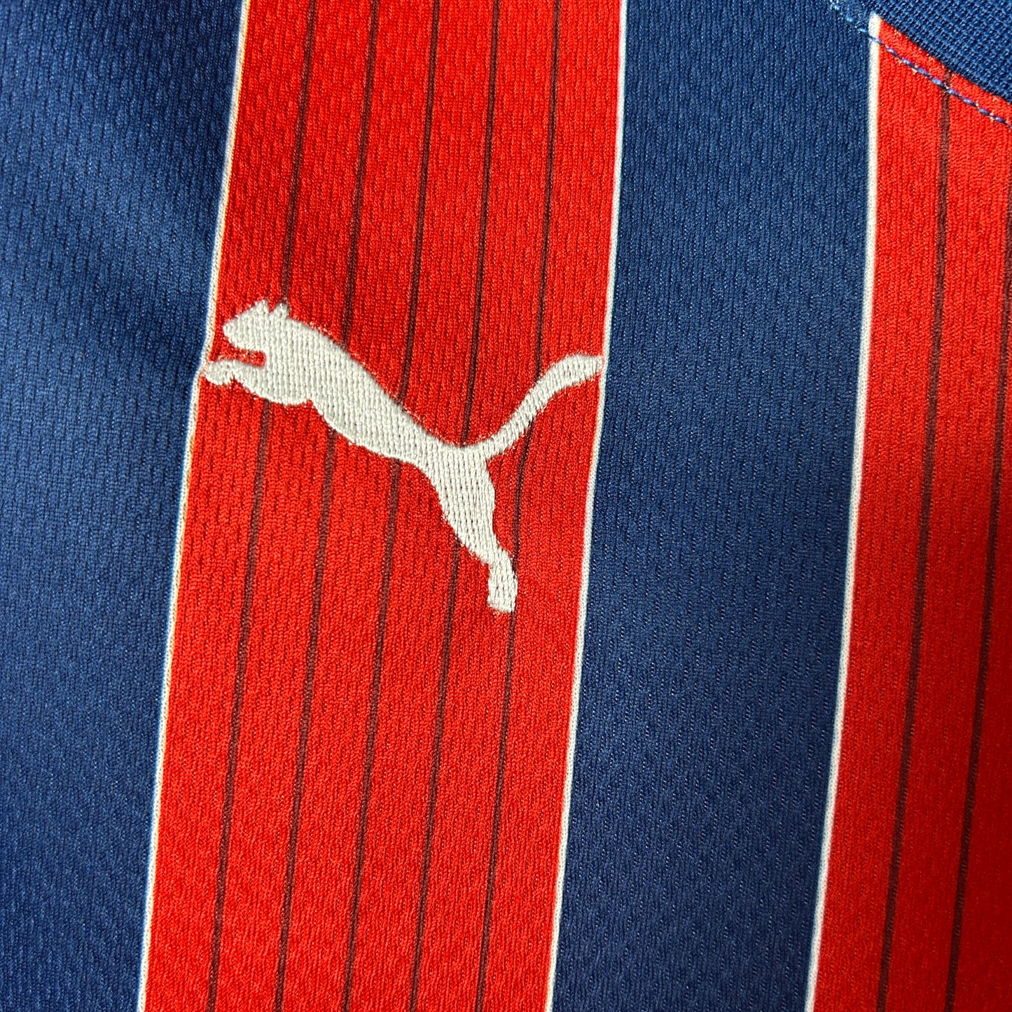 Camisola Bahia 2025-26 Alternativa Vermelha Versão Mulher
