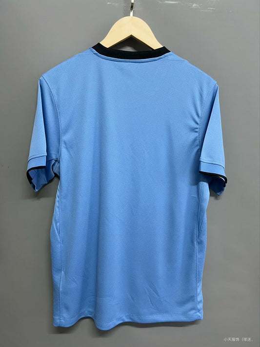 Camisola Paises Baixos 2025 Alternativa Versão Adepto