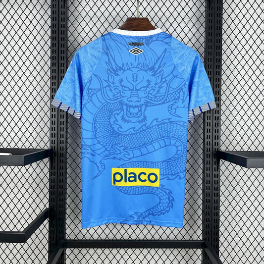 Camisola Santos FC 2025-26 Edição Especial Versão Adepto