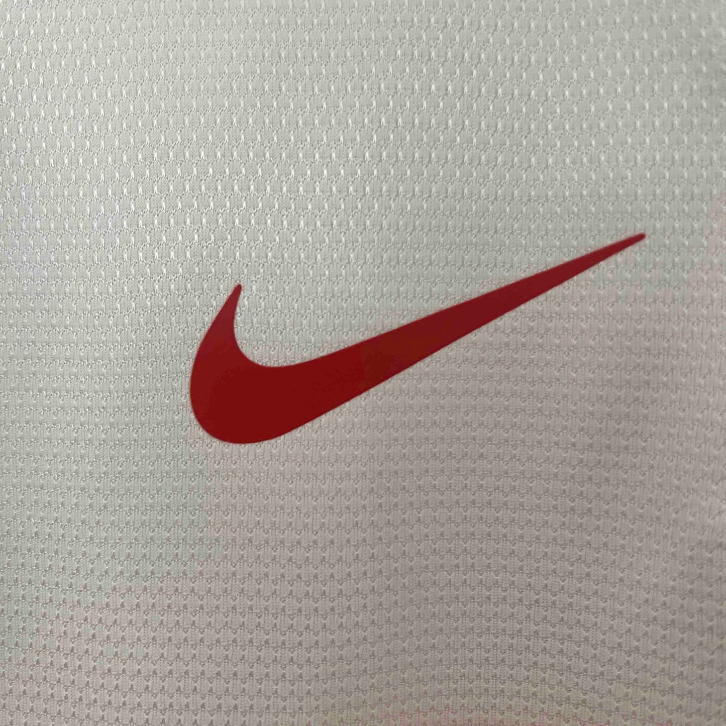 Camisola Polonia 2012 Principal