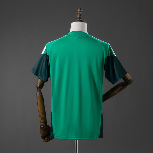 Camisola Argelia 2026 Treino Versão Adepto