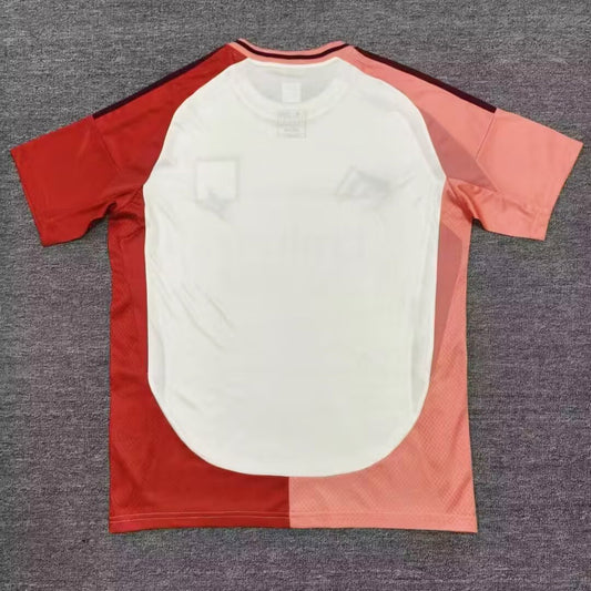 Camisola Olympique Lyon 2024-25 Alternativa Vermelha Versão Adepto