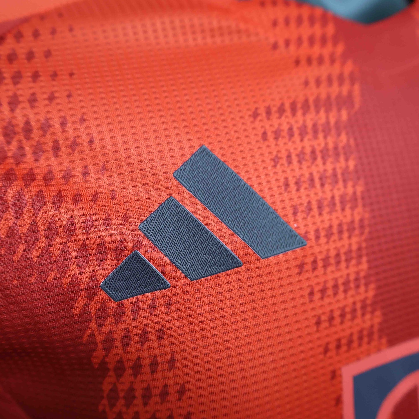 Camisola Manga Comprida FC Bayern Munique 2024-25 Principal Versão Jogador