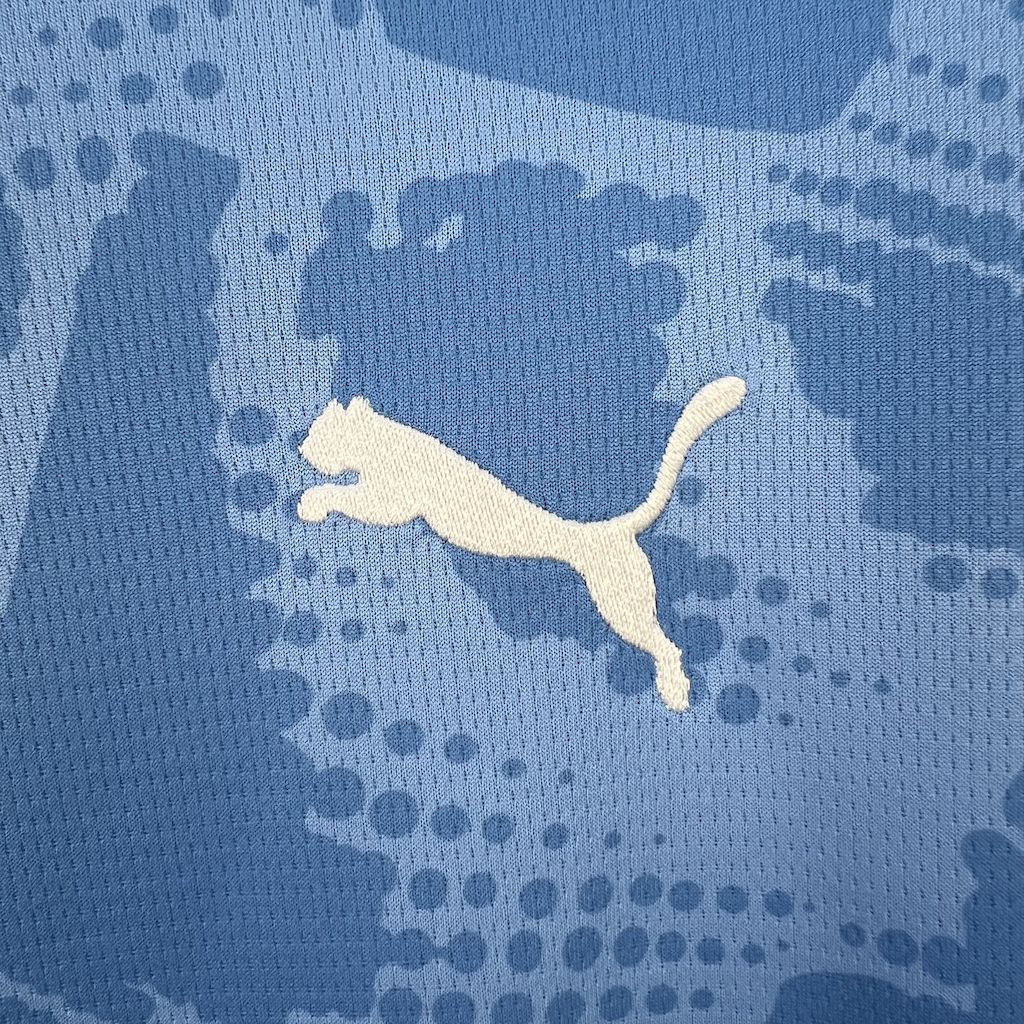 Camisola SE Palmeiras 2025-26 Guarda-Redes Versão Adepto