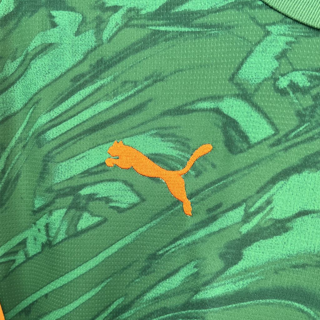 Camisola Borussia Dortmund 2024-25 Guarda-Redes Versão Adepto