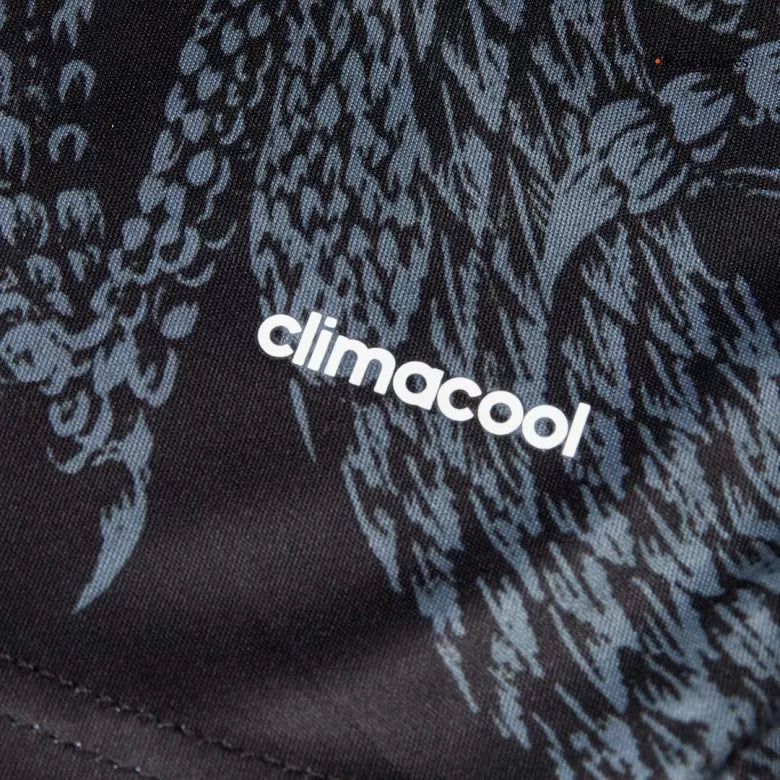 Camisola Real Madrid 2014-15 Alternativa