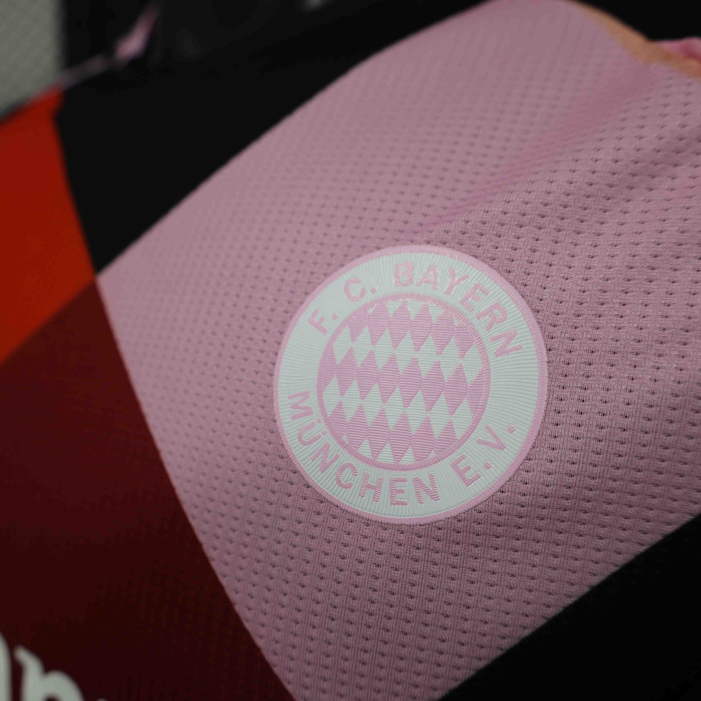 Camisola FC Bayern Munique 2024-25 Treino Versão Jogador