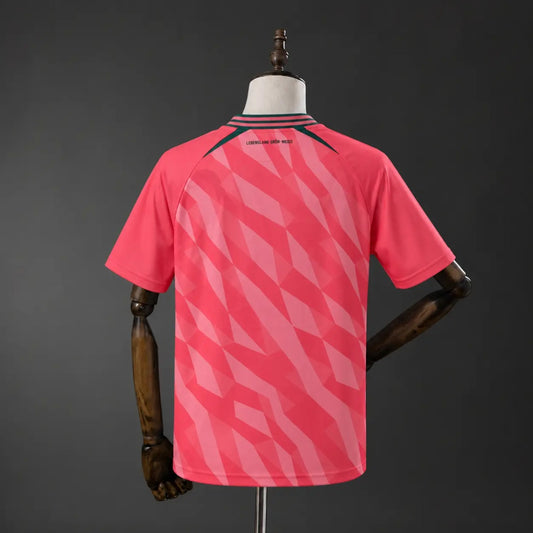 Camisola Werder Bremen 2026-27 Alternativa Vermelha Versão Adepto