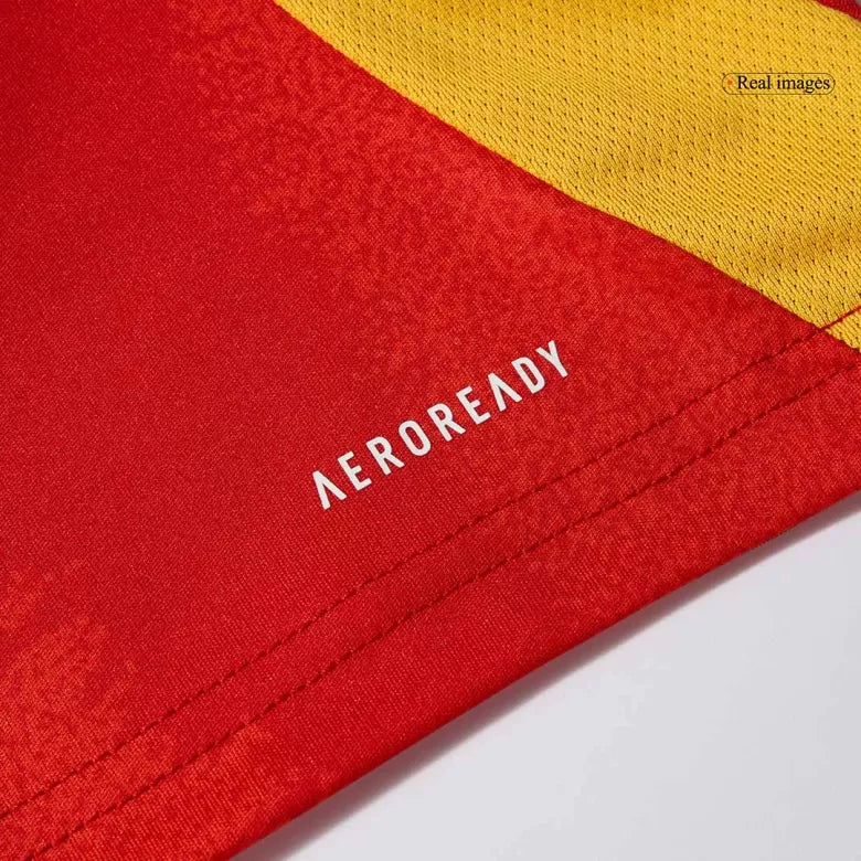 Camisola Espanha 2024 Principal Versão Adepto