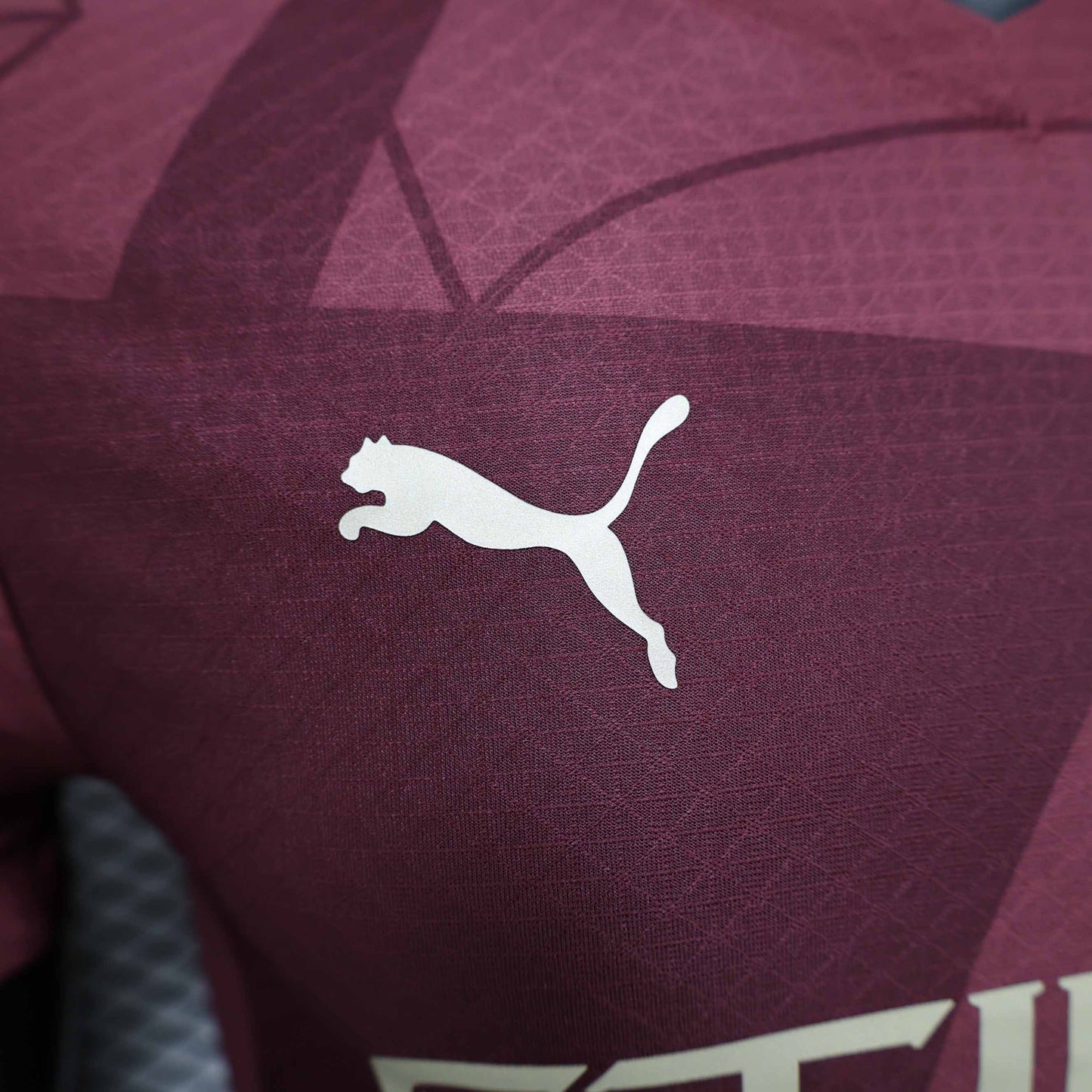 Camisola MCI 2024-25 Alternativa Vermelha Versão Jogador