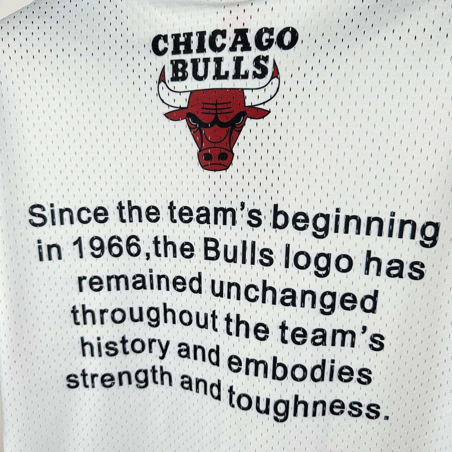 Tshirt NBA 2025 Chicago Bulls