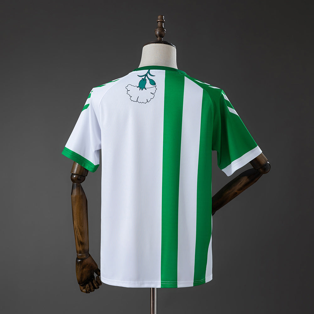Camisola Real Betis 2025-26 Edição Especial Versão Adepto