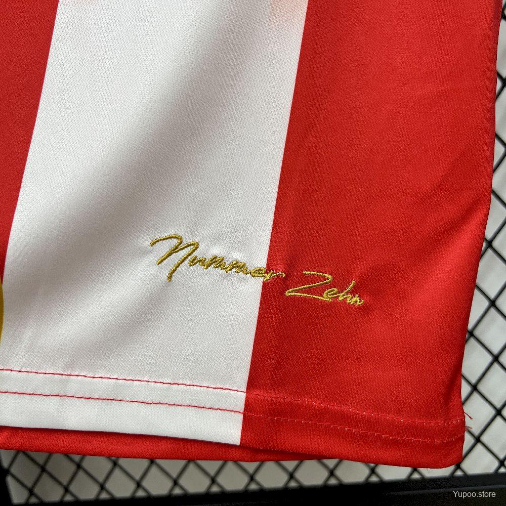 Camisola FC Bayern 2025-26 Edição Especial Versão Adepto