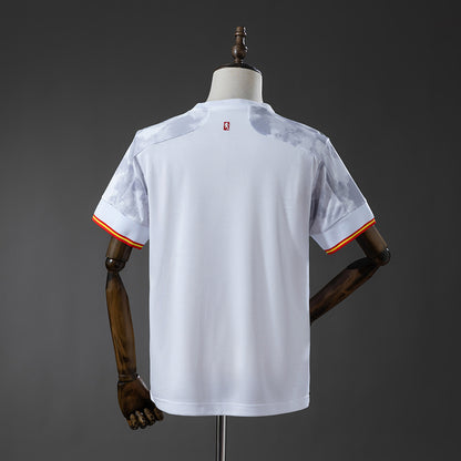 Camisola Espanha 2020 Alternativa