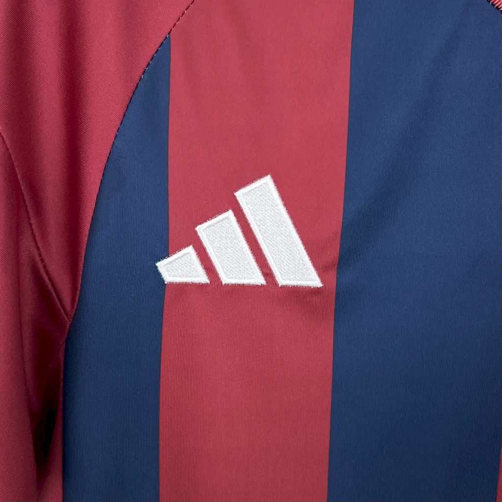 Camisola PEC Zwolle 2025-26 Edição Especial Versão Adepto