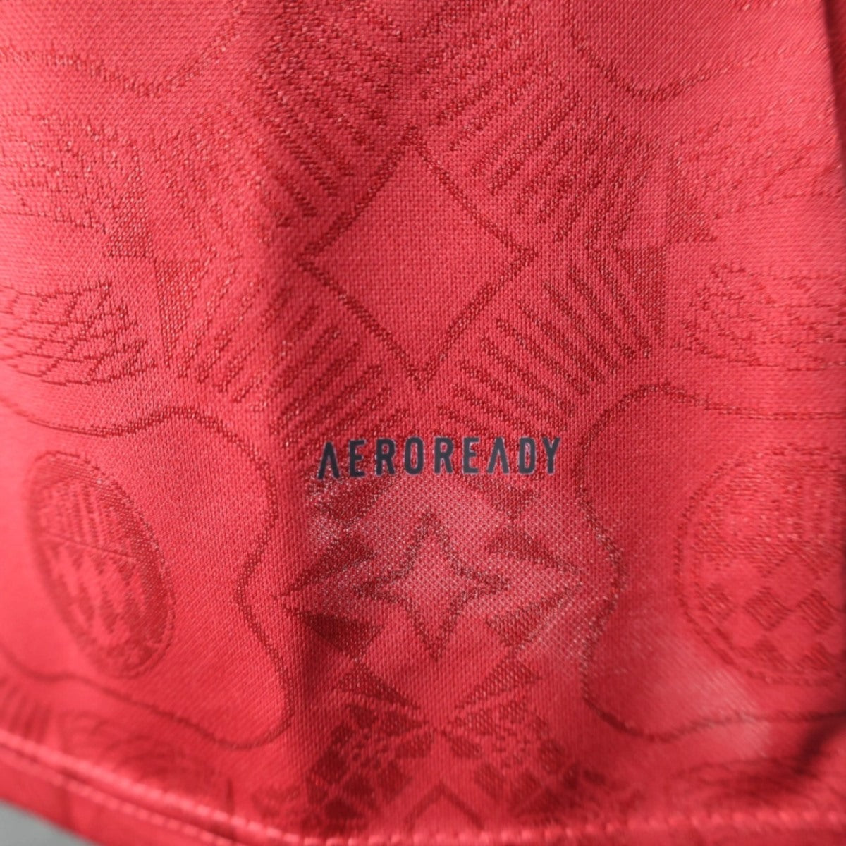 Camisola Manga Comprida FC Bayern Munique 2024-25 Edição 125º Aniversario  Versão Jogador