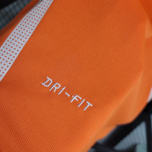 Camisola Paises Baixos 2010 Principal