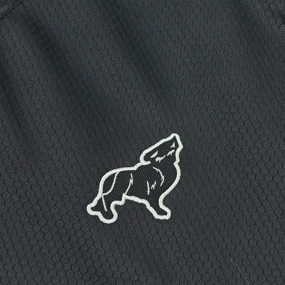 Camisola Paysandu SC 2025-26 Alternativa Preta Versão Adepto