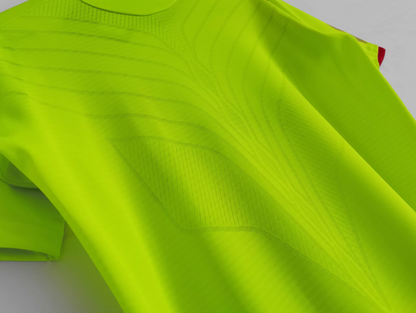 Camisola Olympique Lyon 2008-09 Alternativa