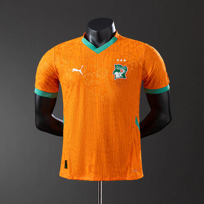 Camisola Costa do Marfim 2024 Principal Versão Jogador