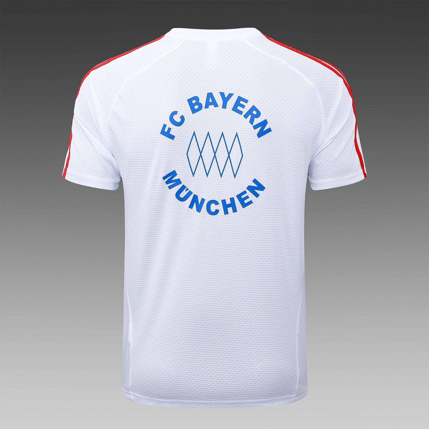 Kit Treino Camisola FC Bayern Munique 2025-26