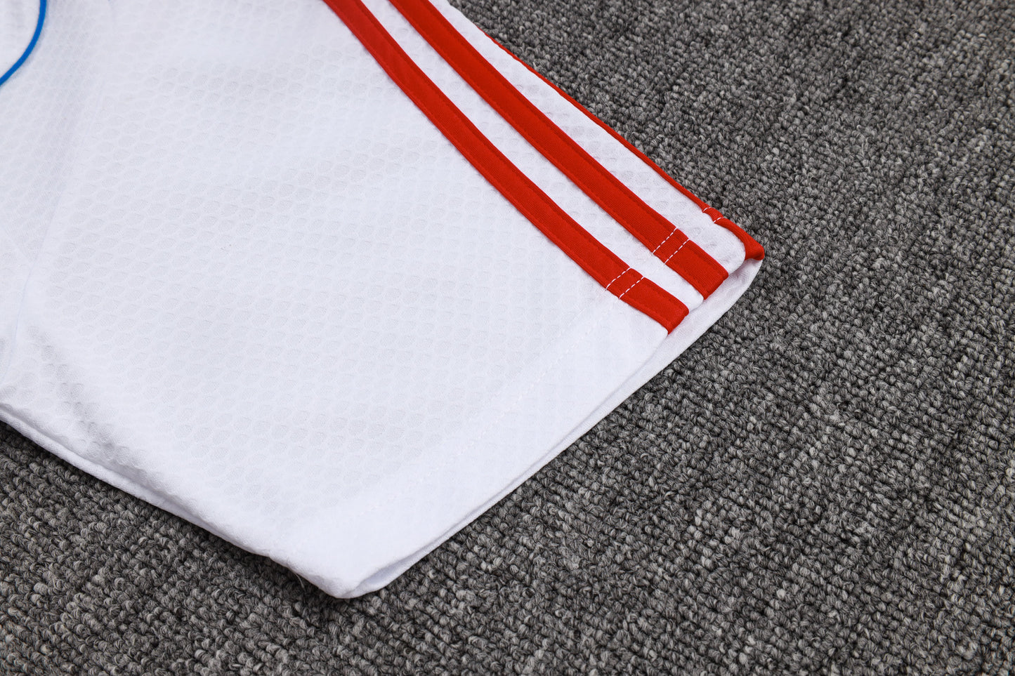 Fato de Treino FC Bayern Munique 2025-26 - Polo