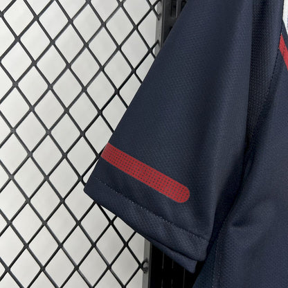 Camisola USA 2010 Alternativa