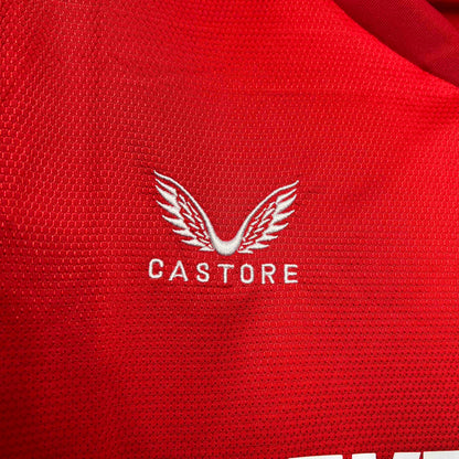 Camisola FC Twente 2024-25 Principal Versão Adepto
