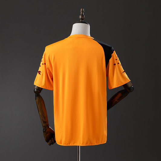 Camisola AS Roma 2005-06 Alternativa