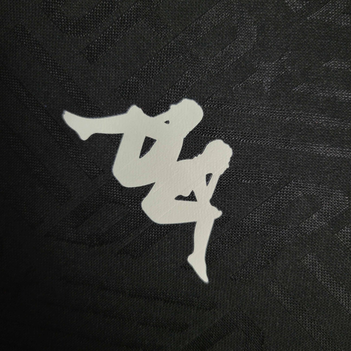 Camisola Botafogo-RJ 2021-22 Alternativa