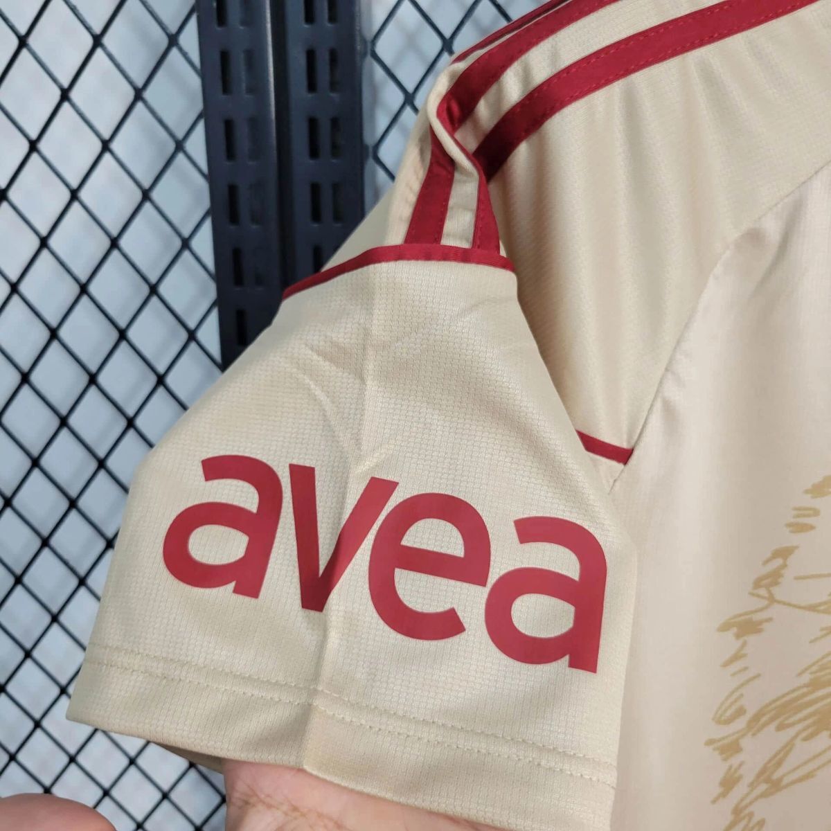 Camisola Galatasaray 2010-11 Alternativa