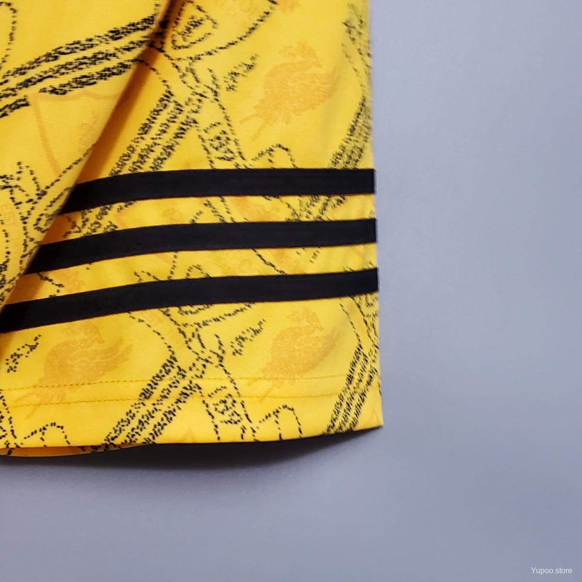 Camisola LIV 1995-96 Alternativa