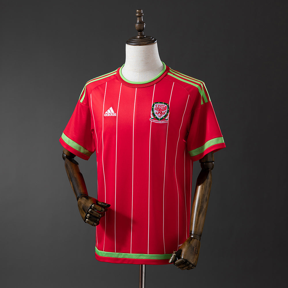 Camisola Pais de Gales 2015 Principal