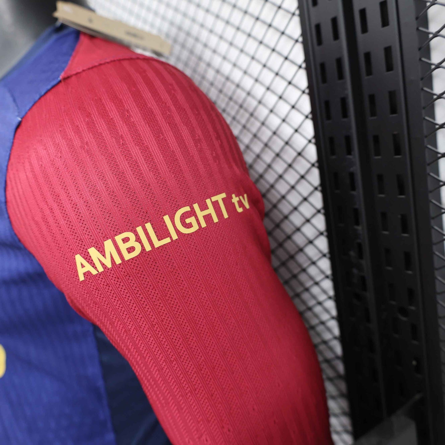 Camisola Manga Comprida FC Barcelona 2024-25 Principal Versão Jogador