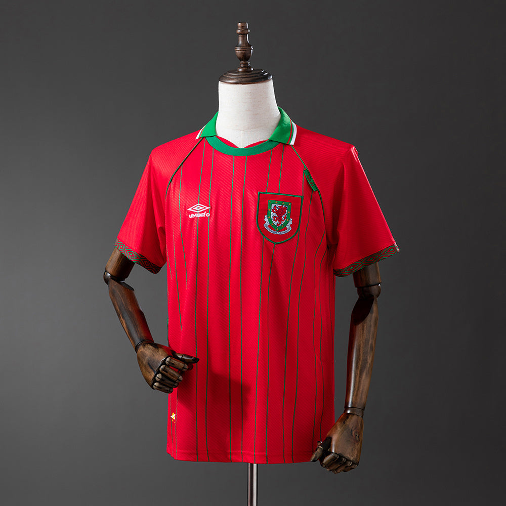 Camisola Pais de Gales 1994 Principal