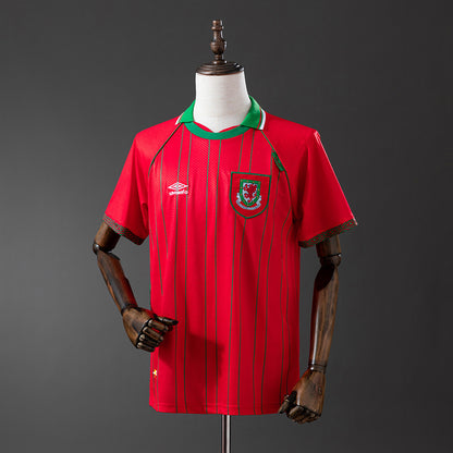 Camisola Pais de Gales 1994 Principal