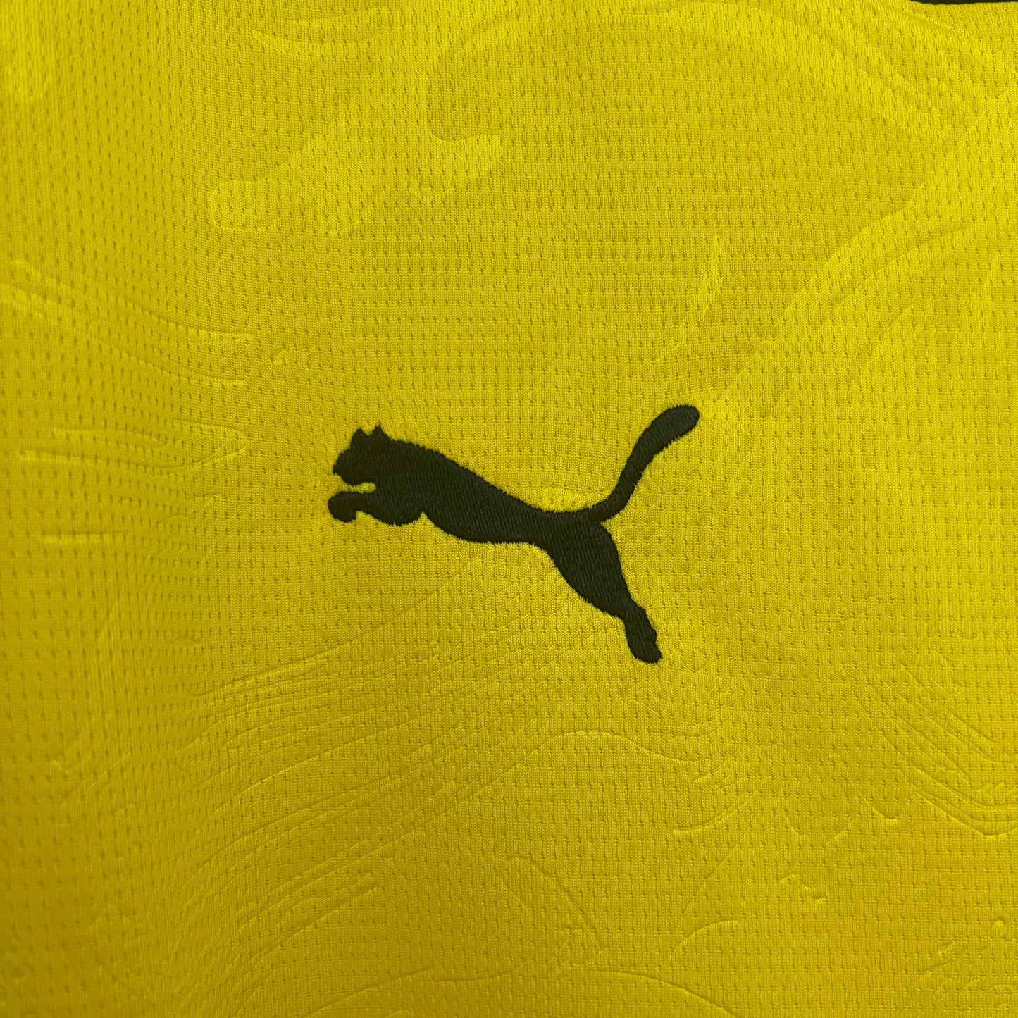 Camisola Borussia Dortmund 2024-25 Edição Especial Versão Adepto